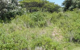 1087 m² Land available in Salt Rock