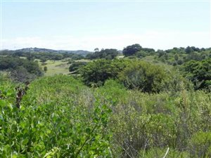 1087 m² Land available in Salt Rock