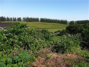 1012 m² Land available in Tinley Manor and surrounds