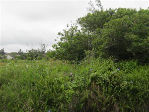 1100 m² Land available in Leisure Bay