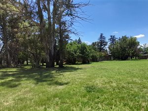 620 ha Farm in Lindequesdrif