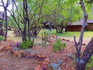 21 ha Farm in Dinokeng