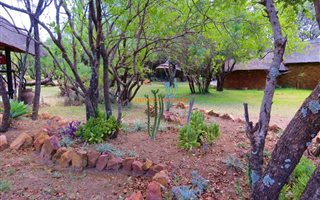 21 ha Farm in Dinokeng