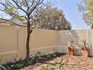 2 Bed Apartment in Morningside
