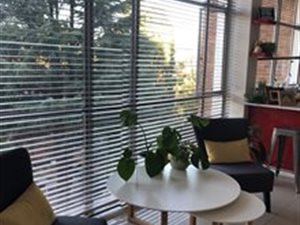 1 Bed Apartment in Rosebank