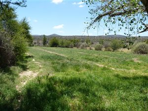 6000 ha Farm in Graaff Reinet
