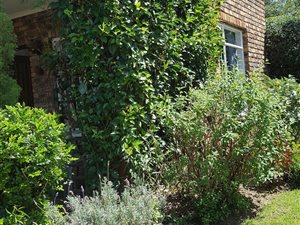 1 Bed Garden Cottage in Sunninghill