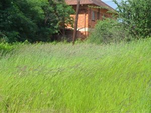 7152 m² Land available in Rayton