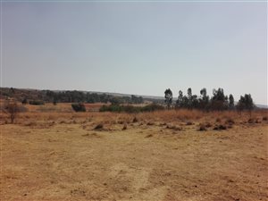 5.1 ha Farm in Rietfontein