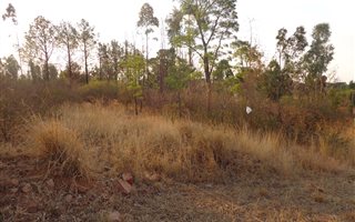 1369 m² Land available in Kameeldrift East