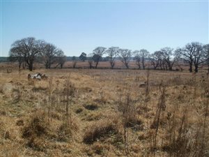 5710 m² Land available in Belfast