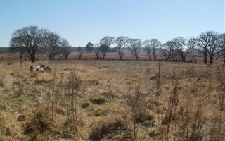 5710 m² Land available in Belfast