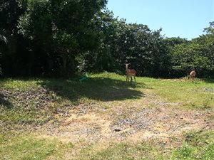 664 m² Land available in Pennington