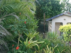 2 Bed House in Townview