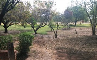 8.8 ha Farm in Bainsvlei