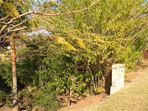 982 m² Land available in Cintsa