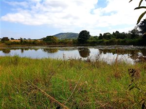 22 ha Farm in Tzaneen