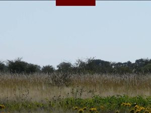 7974 ha Farm in Mmabatho
