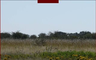 7974 ha Farm in Mmabatho