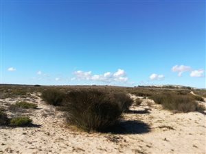 287 ha Farm in Vredenburg