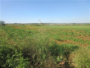 8362 m² Farm in Mamogaleskraal A H
