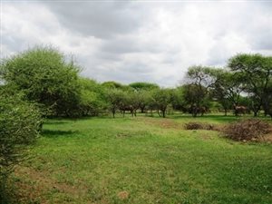 2.9 ha Land available in Buffelsdrift AH