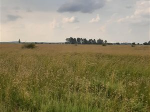 42 ha Land available in Meiringspark