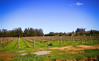 4 Bedroom House in Somerset West Central