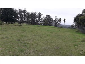 1505 m² Land available in Margate