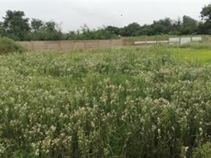 2218 m² Land available in Meyerton South