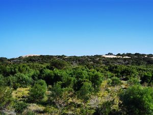 48 ha Smallholding in Kromme River