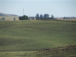233 ha Farm in Mooi River