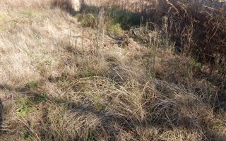 1200 m² Land available in Amajuba Park