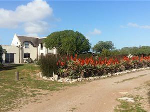 1.1 ha Farm in Vredenburg