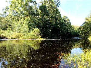 37 ha Farm in Mossel Bay Central