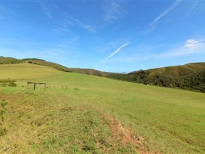 37 ha Farm in Mossel Bay Central