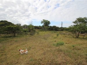 24.3 ha Land available in Cintsa
