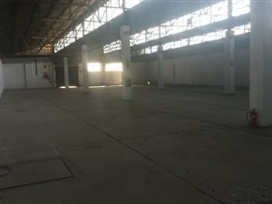1537 m² Industrial space in Riverlea