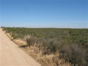 21.5 ha Land available in Hopefield