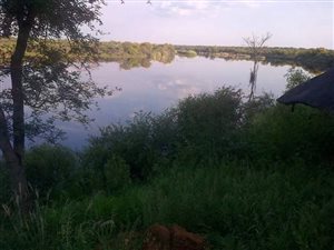236 ha Farm in Lephalale (Ellisras)