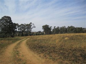 2.2 ha Land available in Knopjeslaagte