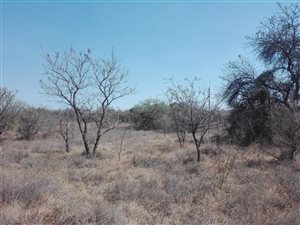 5.2 ha Land available in Donkerhoek