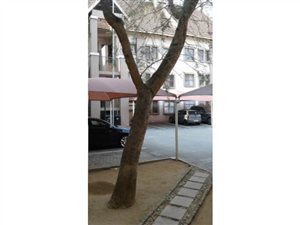 1 Bed Townhouse in Ferndale