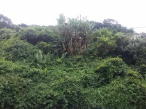 1642 m² Land available in Isipingo Beach