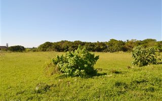 4939 m² Land available in Esikhawini
