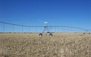 200 ha Farm in Ottosdal