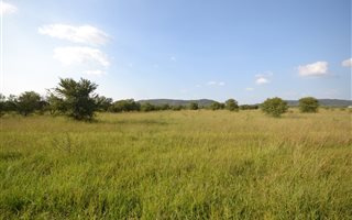 3.2 ha Land available in Onderstepoort