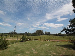 190.8 ha Farm in Port Alfred