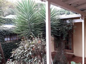 1 Bed House in Kensington