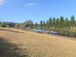 9 ha Farm in Richmond